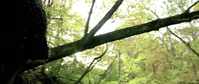 Xem phim Don’t Fuck in the Woods 2 Vietsub HD tại TVHay Xem phim Don’t Fuck in the Woods 2 Vietsub HD tại TVHay