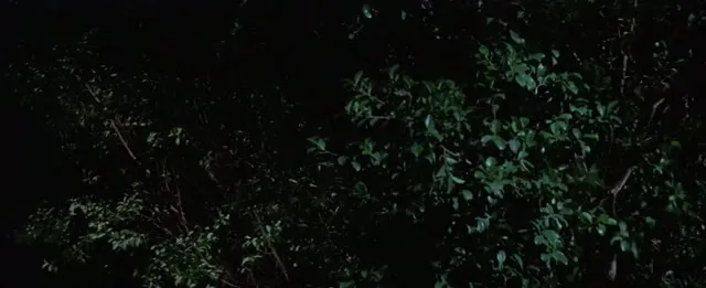 Đêm Kinh Hoàng 1985 Vietsub HD - TVHay Đêm Kinh Hoàng 1985 Vietsub HD - TVHay
