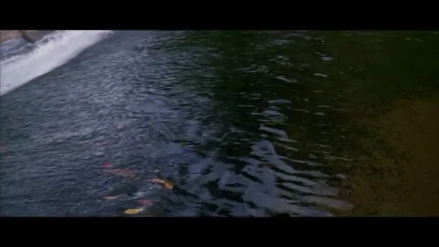 Xem phim Người Mohican Cuối Cùng Vietsub HD tại TVHay Xem phim Người Mohican Cuối Cùng Vietsub HD tại TVHay