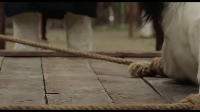 Mỹ Nhân Đồ 2008 Vietsub HD - TVHay Mỹ Nhân Đồ 2008 Vietsub HD - TVHay