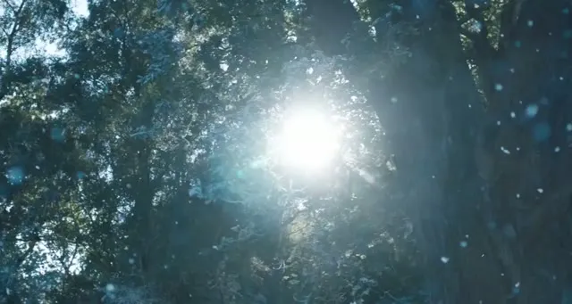 Hình ảnh trong phim Tạm Biệt Christopher Robin trên TVHay Hình ảnh trong phim Tạm Biệt Christopher Robin trên TVHay