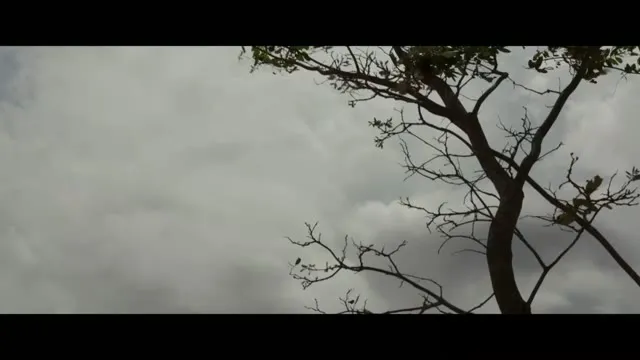 Xem phim Cậu Bé Chế Ngự Gió Vietsub HD tại TVHay Xem phim Cậu Bé Chế Ngự Gió Vietsub HD tại TVHay
