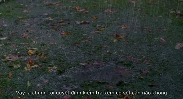 Xem phim Bố Của Cô Dâu Phần 2 Vietsub HD tại TVHay Xem phim Bố Của Cô Dâu Phần 2 Vietsub HD tại TVHay