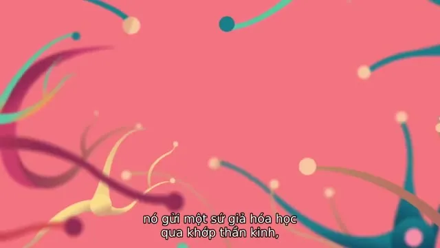 Xem phim Cần Sa – Phương Thuốc Liều Lĩnh Vietsub HD tại TVHay Xem phim Cần Sa – Phương Thuốc Liều Lĩnh Vietsub HD tại TVHay