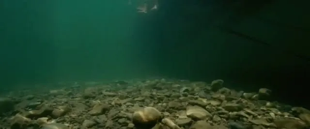 Xem phim Cá Hổ Piranha Vietsub HD tại TVHay Xem phim Cá Hổ Piranha Vietsub HD tại TVHay