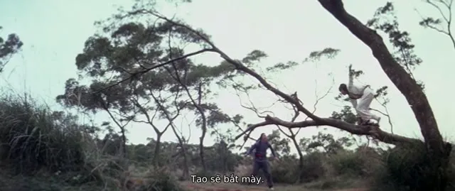 Nhất Chiêu Bán Thức Sấm Giang Hồ 1978 Vietsub HD - TVHay Nhất Chiêu Bán Thức Sấm Giang Hồ 1978 Vietsub HD - TVHay