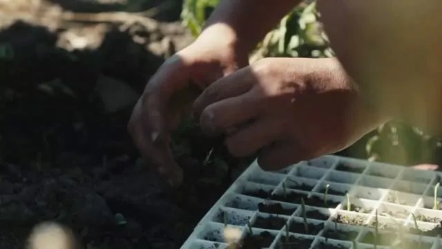 Cuộc đời Pepe Mujica 2019 Vietsub HD - TVHay Cuộc đời Pepe Mujica 2019 Vietsub HD - TVHay