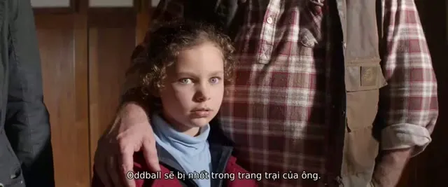 Xem phim Chú Chó OddBall Vietsub HD tại TVHay Xem phim Chú Chó OddBall Vietsub HD tại TVHay