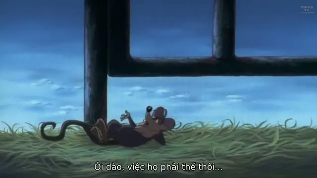 Xem phim Chú Sư Tử Trắng Vietsub HD tại TVHay Xem phim Chú Sư Tử Trắng Vietsub HD tại TVHay
