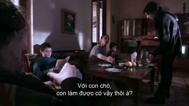 Xem phim Máu Thiêng Vietsub HD tại TVHay Xem phim Máu Thiêng Vietsub HD tại TVHay