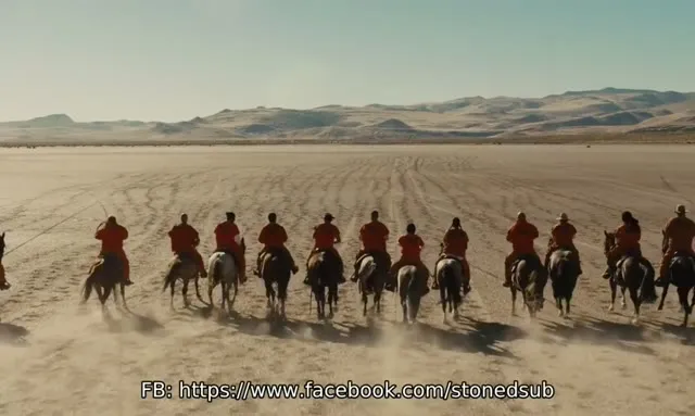Mustang: Thuần hóa 2019 Vietsub HD - TVHay Mustang: Thuần hóa 2019 Vietsub HD - TVHay