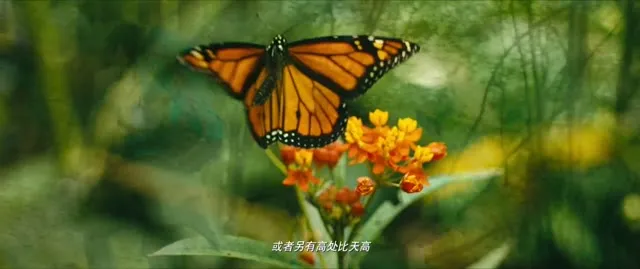 Hình ảnh trong phim Oan Gia Đổi Mệnh trên TVHay Hình ảnh trong phim Oan Gia Đổi Mệnh trên TVHay