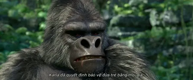 Xem phim Tarzan Vietsub HD tại TVHay Xem phim Tarzan Vietsub HD tại TVHay