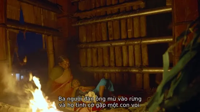 Người chăm voi 2022 Vietsub HD - TVHay Người chăm voi 2022 Vietsub HD - TVHay
