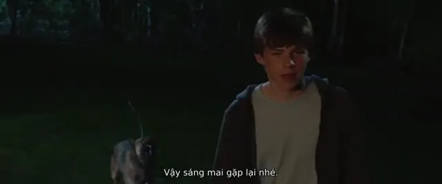 Xem phim Chú Chó Max Vietsub HD tại TVHay Xem phim Chú Chó Max Vietsub HD tại TVHay