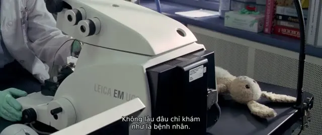 Chú Thỏ Mimzy Cuối Cùng 2007 Vietsub HD - TVHay Chú Thỏ Mimzy Cuối Cùng 2007 Vietsub HD - TVHay