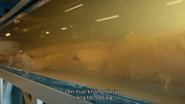 Hình ảnh trong phim Sinh Vật Huyền Bí: Lịch Sử Tự Nhiên trên TVHay Hình ảnh trong phim Sinh Vật Huyền Bí: Lịch Sử Tự Nhiên trên TVHay