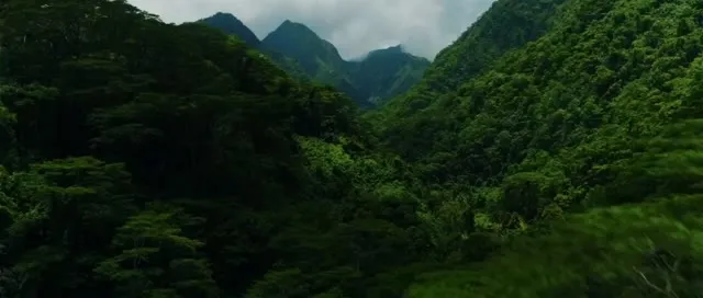 Xem phim Đảo Vàng Vietsub HD tại TVHay Xem phim Đảo Vàng Vietsub HD tại TVHay