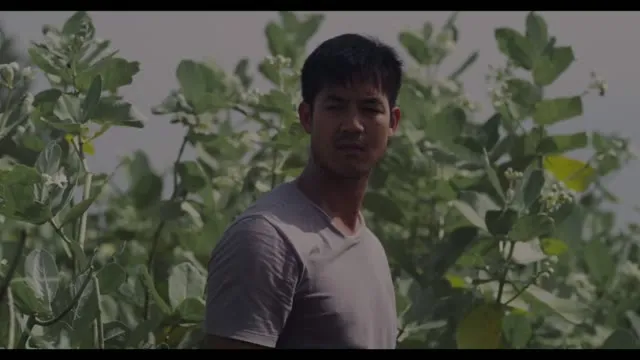 Xem phim Malila: Bông hoa chia tay Vietsub HD tại TVHay Xem phim Malila: Bông hoa chia tay Vietsub HD tại TVHay