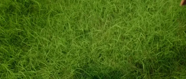Hình ảnh trong phim Vũ Điệu Dòng Sông: Cuộc Phiêu Lưu Hoạt Hình trên TVHay Hình ảnh trong phim Vũ Điệu Dòng Sông: Cuộc Phiêu Lưu Hoạt Hình trên TVHay