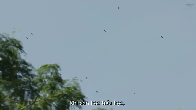 Những người yêu chim 2019 Vietsub HD - TVHay Những người yêu chim 2019 Vietsub HD - TVHay