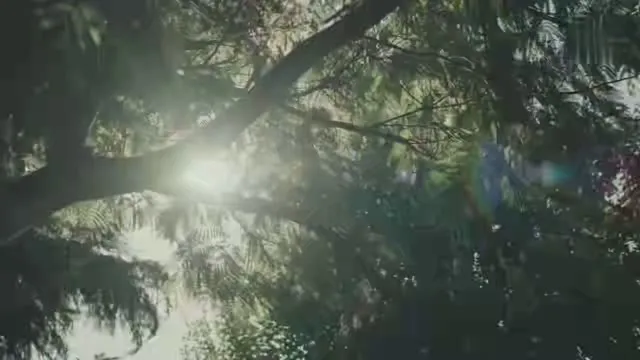 Xem phim Trái Tim Còn Mãi Vietsub HD tại TVHay Xem phim Trái Tim Còn Mãi Vietsub HD tại TVHay