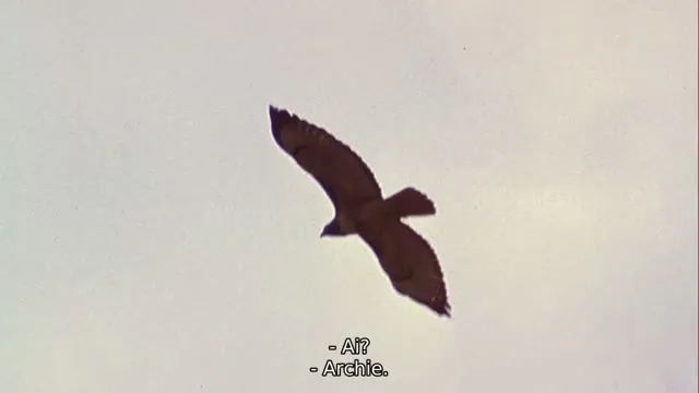 Bác Sĩ Thú Y 2 2001 Vietsub HD - TVHay Bác Sĩ Thú Y 2 2001 Vietsub HD - TVHay