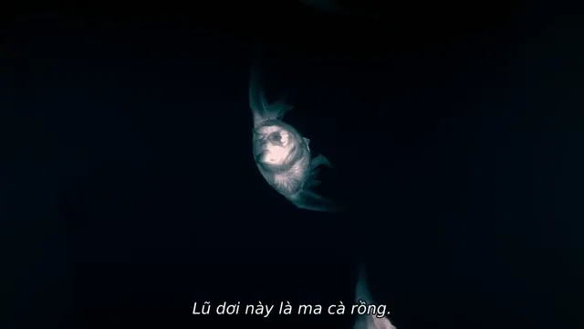 Xem phim Màn đêm trên Trái Đất: Thước phim trong bóng tối Vietsub HD tại TVHay Xem phim Màn đêm trên Trái Đất: Thước phim trong bóng tối Vietsub HD tại TVHay