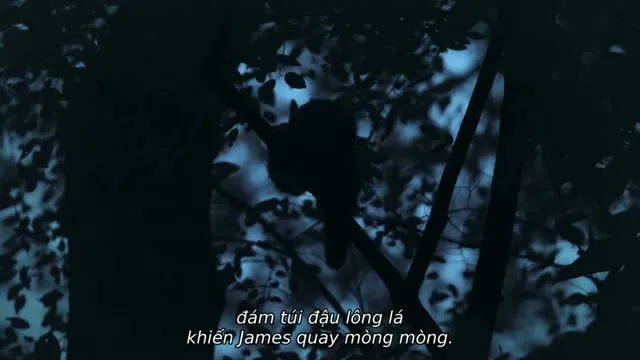 Hình ảnh trong phim Màn đêm trên Trái Đất: Thước phim trong bóng tối trên TVHay Hình ảnh trong phim Màn đêm trên Trái Đất: Thước phim trong bóng tối trên TVHay