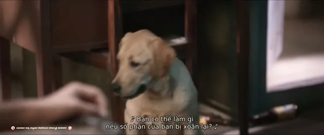 Xem phim Chú Chó Charlie Vietsub HD tại TVHay Xem phim Chú Chó Charlie Vietsub HD tại TVHay