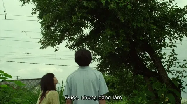 Xem phim Khu Rừng Nhỏ – Hạ/Thu Vietsub HD tại TVHay Xem phim Khu Rừng Nhỏ – Hạ/Thu Vietsub HD tại TVHay