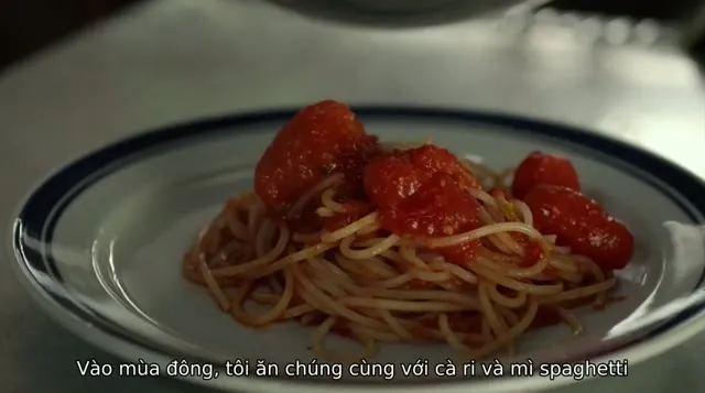 Hình ảnh trong phim Khu Rừng Nhỏ – Hạ/Thu trên TVHay Hình ảnh trong phim Khu Rừng Nhỏ – Hạ/Thu trên TVHay
