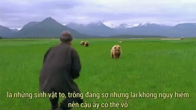 Xem phim Bi Kịch Hoang Dã Vietsub HD tại TVHay Xem phim Bi Kịch Hoang Dã Vietsub HD tại TVHay