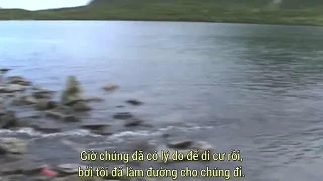 Bi Kịch Hoang Dã 2005 Vietsub HD - TVHay Bi Kịch Hoang Dã 2005 Vietsub HD - TVHay