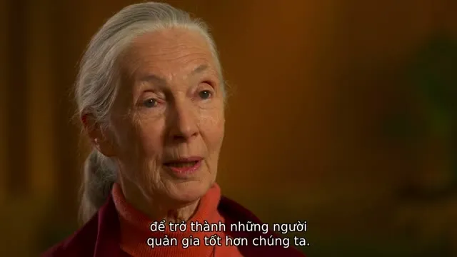 Cuộc Đua Tuyệt Chủng 2015 Vietsub HD - TVHay Cuộc Đua Tuyệt Chủng 2015 Vietsub HD - TVHay