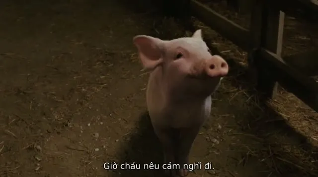 Hình ảnh Mạng Nhện Của Charlotte tập 1 trên TVHay Hình ảnh Mạng Nhện Của Charlotte tập 1 trên TVHay