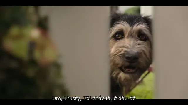 Xem phim Tiểu Thư và Gã Lang Thang Vietsub HD tại TVHay Xem phim Tiểu Thư và Gã Lang Thang Vietsub HD tại TVHay