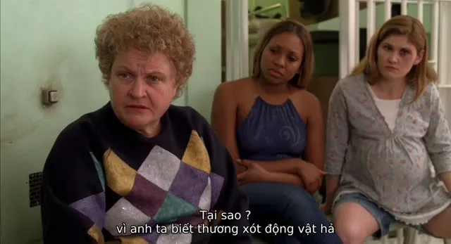 Con Đường Tình Ái 2008 Vietsub HD - TVHay Con Đường Tình Ái 2008 Vietsub HD - TVHay