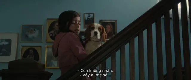 Xem phim Hành Trình Của Chú Chó Bailey Vietsub HD tại TVHay Xem phim Hành Trình Của Chú Chó Bailey Vietsub HD tại TVHay