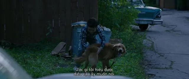 Xem phim Mục Đích Sống Của Một Chú Chó Vietsub HD tại TVHay Xem phim Mục Đích Sống Của Một Chú Chó Vietsub HD tại TVHay