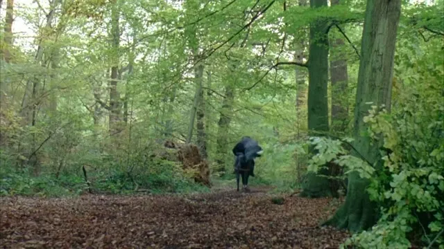 Hình ảnh trong phim Robin Hood: Hoàng Tử Lục Lâm trên TVHay Hình ảnh trong phim Robin Hood: Hoàng Tử Lục Lâm trên TVHay