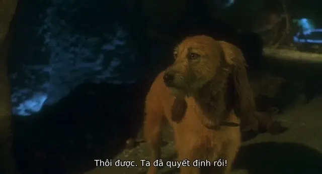 Hình ảnh trong phim Grinch Đã Đánh Cắp Giáng Sinh Như Thế Nào trên TVHay Hình ảnh trong phim Grinch Đã Đánh Cắp Giáng Sinh Như Thế Nào trên TVHay