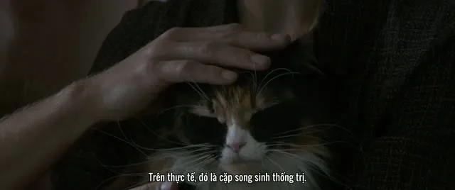 Hình ảnh trong phim Đôi Nhân Tình trên TVHay Hình ảnh trong phim Đôi Nhân Tình trên TVHay