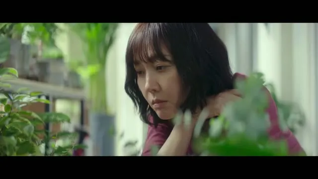Xem phim Đưa Em Tìm Mối Tình Đầu Vietsub HD tại TVHay Xem phim Đưa Em Tìm Mối Tình Đầu Vietsub HD tại TVHay