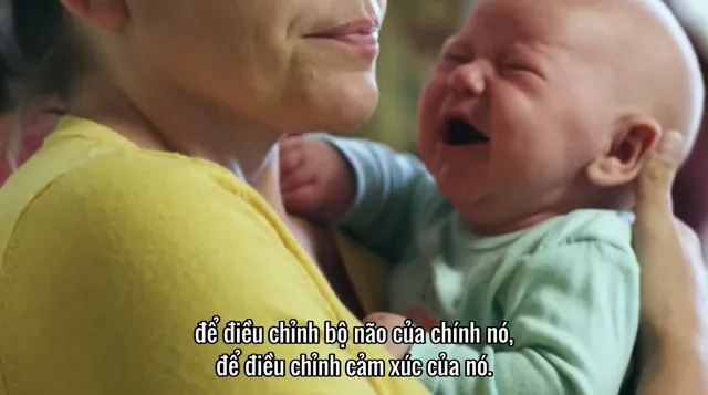 Xem Trí Tuệ Từ Chấn Thương (Sự Khôn Ngoan Từ Tổn Thương) tập 1 Vietsub tại TVHay Xem Trí Tuệ Từ Chấn Thương (Sự Khôn Ngoan Từ Tổn Thương) tập 1 Vietsub tại TVHay