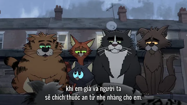 Ricky Gervais: Mèo Hoang Đô Thị tập 1 Vietsub HD - TVHay Ricky Gervais: Mèo Hoang Đô Thị tập 1 Vietsub HD - TVHay