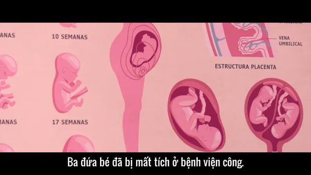 Đứa Con Của Riêng Tôi / Un hijo propio 2026 Vietsub HD - TVHay