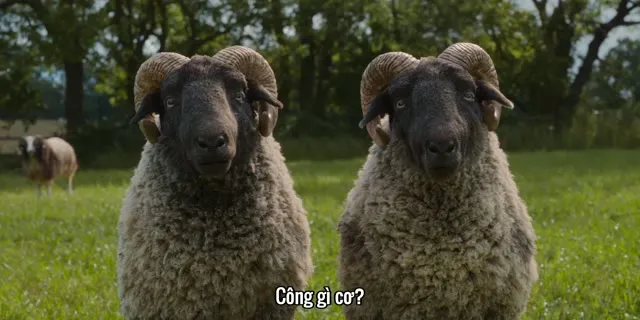 Xem phim Đội Thám Tử Cừu: Án Mạng Lúc Nửa Đêm Vietsub HD tại TVHay Xem phim Đội Thám Tử Cừu: Án Mạng Lúc Nửa Đêm Vietsub HD tại TVHay