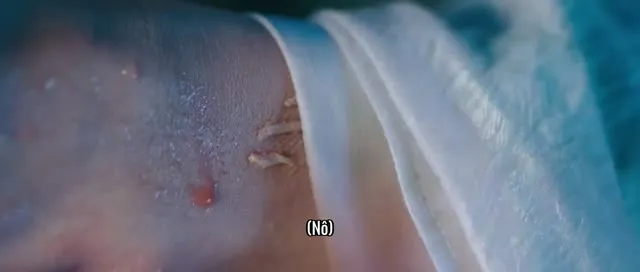 Xem phim Chi Bằng Gặp Nhau Một Lần Vietsub HD tại TVHay Xem phim Chi Bằng Gặp Nhau Một Lần Vietsub HD tại TVHay
