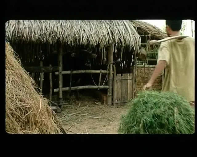Xem phim Bến Không Chồng Vietsub HD tại TVHay Xem phim Bến Không Chồng Vietsub HD tại TVHay